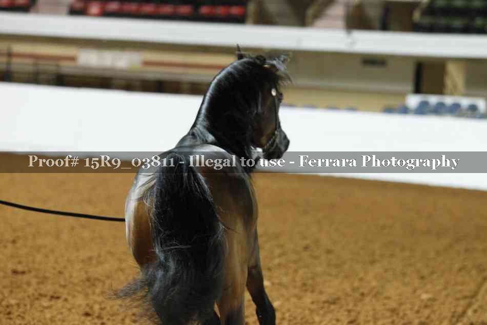 Proof Number 15R9_03811