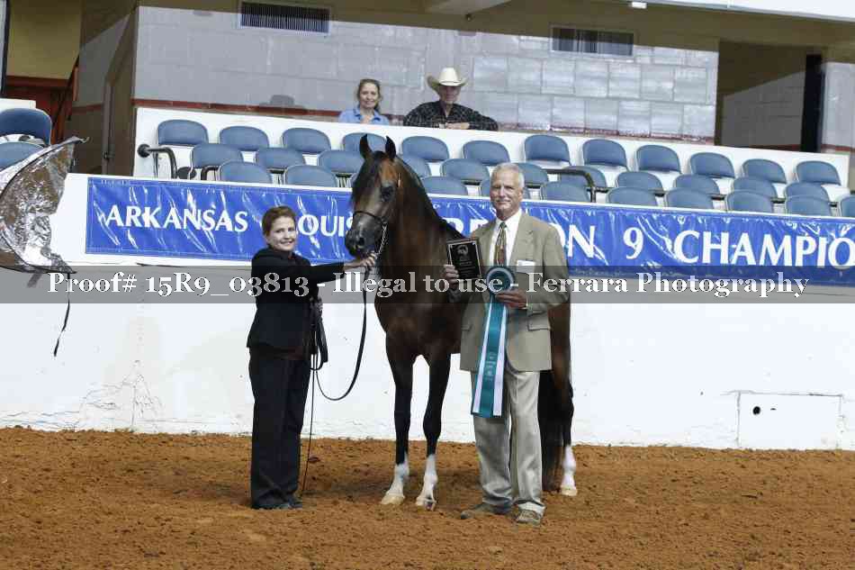 Proof Number 15R9_03813