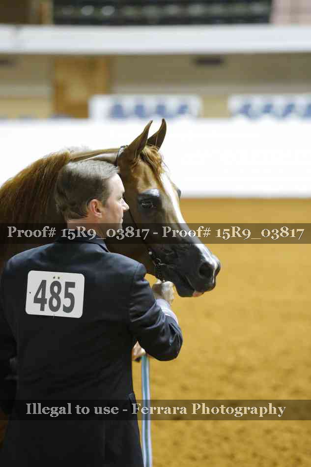 Proof Number 15R9_03817