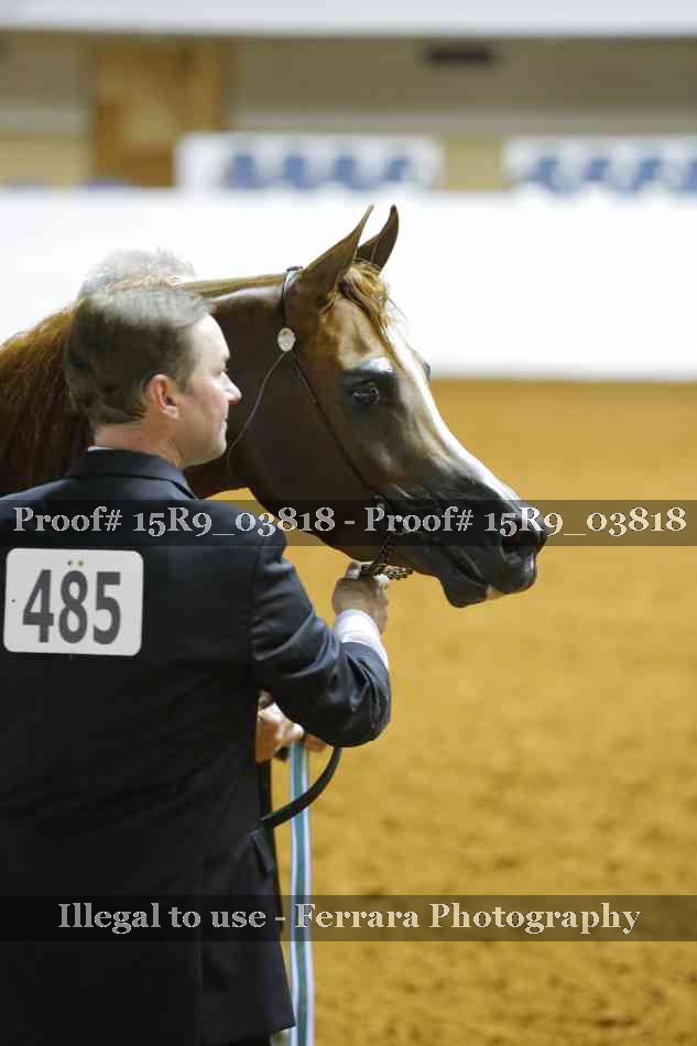 Proof Number 15R9_03818