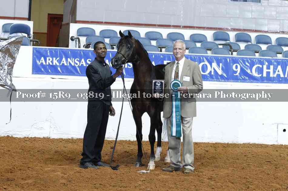 Proof Number 15R9_03819