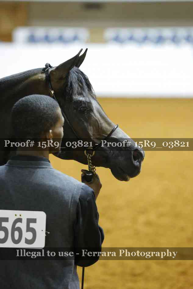 Proof Number 15R9_03821