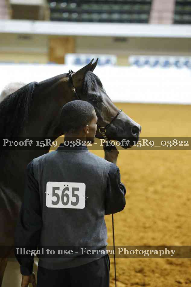 Proof Number 15R9_03822