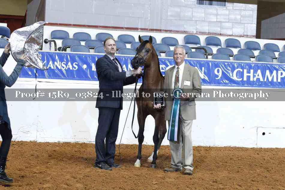 Proof Number 15R9_03824