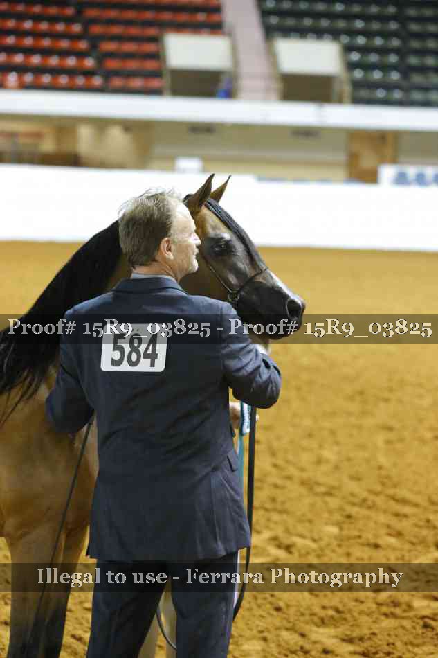 Proof Number 15R9_03825