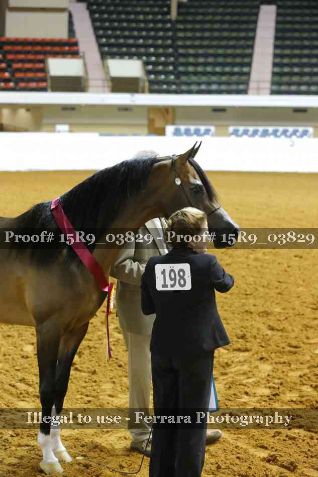 Proof Number 15R9_03829