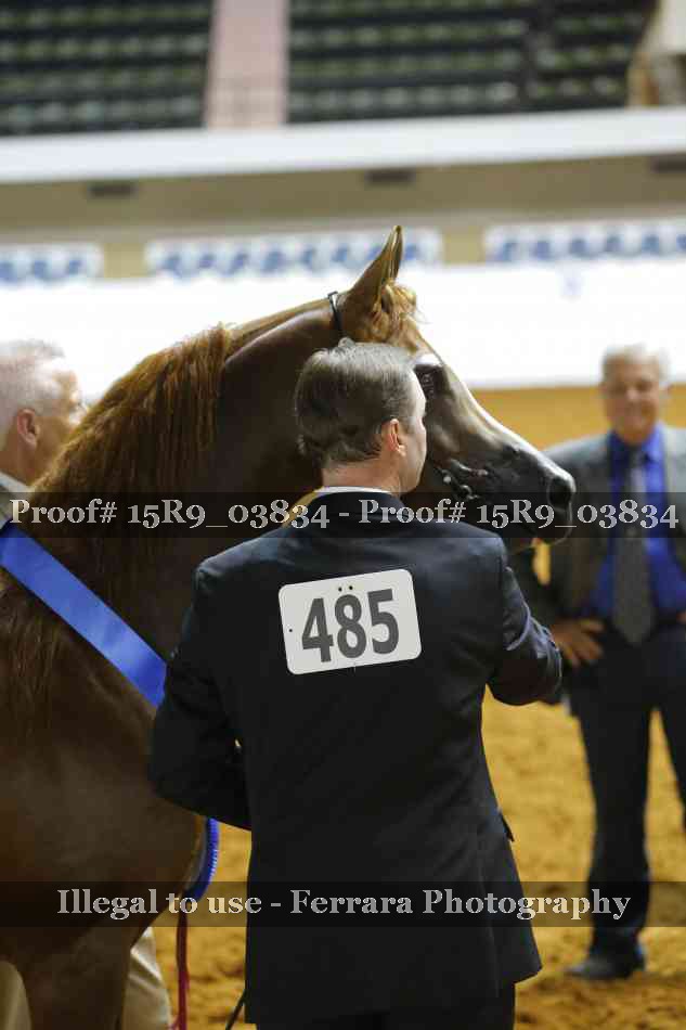 Proof Number 15R9_03834