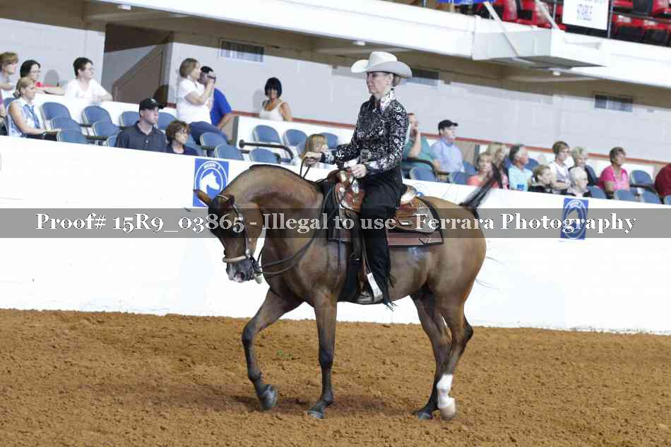 Proof Number 15R9_03865