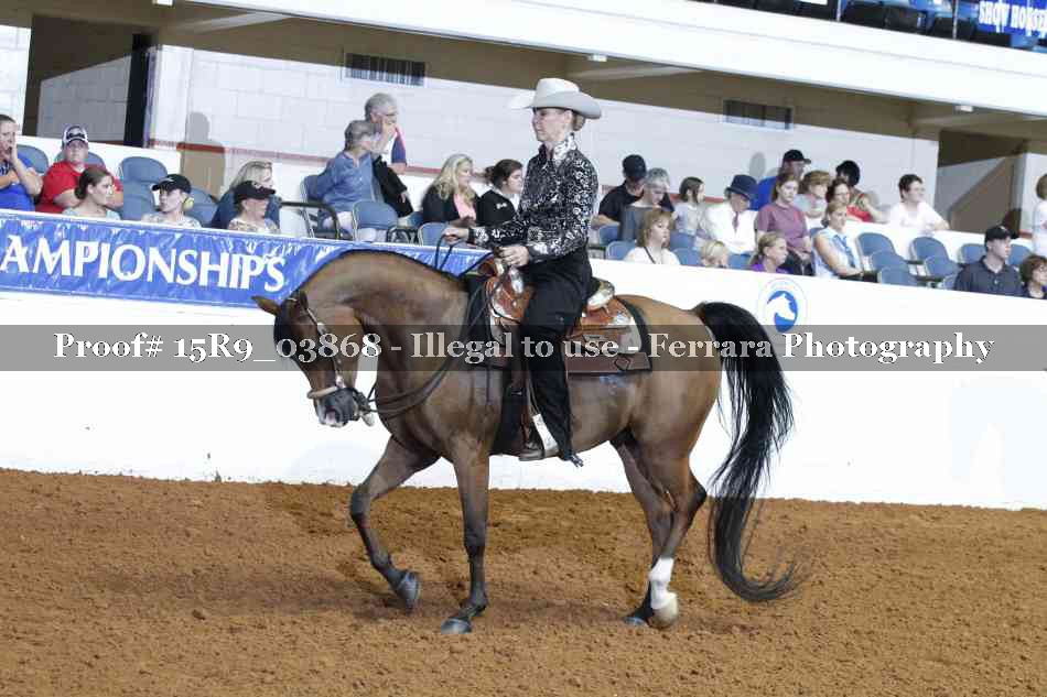 Proof Number 15R9_03868