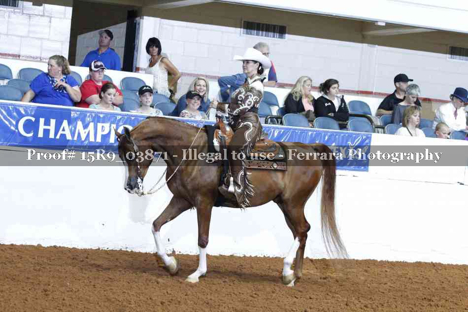 Proof Number 15R9_03871
