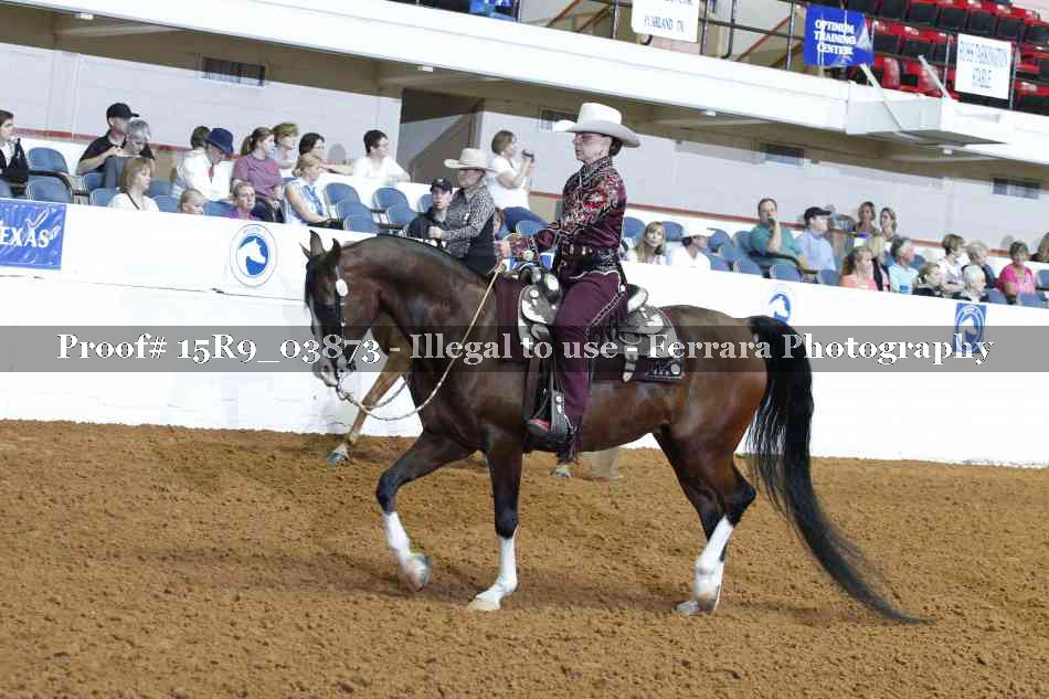 Proof Number 15R9_03873