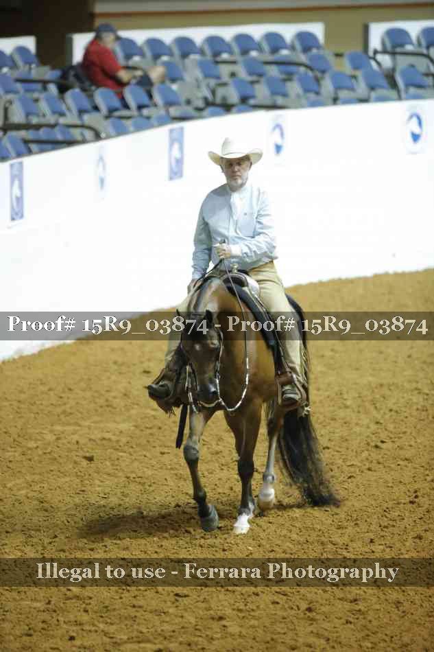 Proof Number 15R9_03874