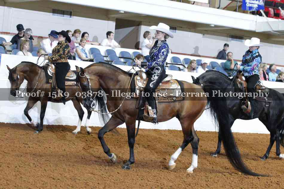 Proof Number 15R9_03878
