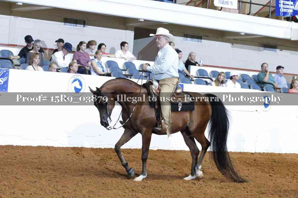 Proof Number 15R9_03879