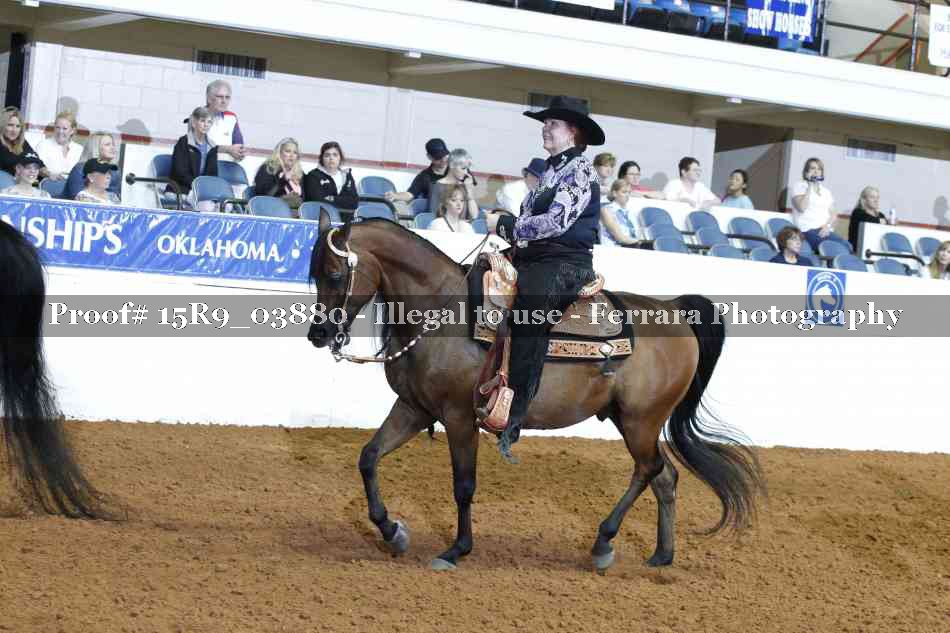 Proof Number 15R9_03880