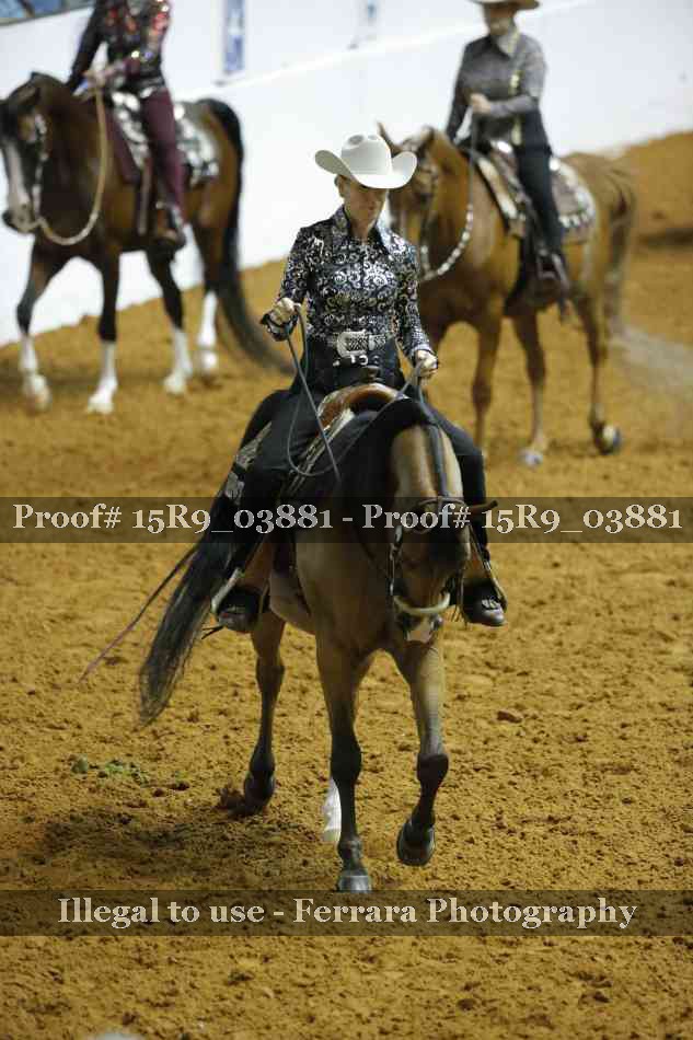 Proof Number 15R9_03881
