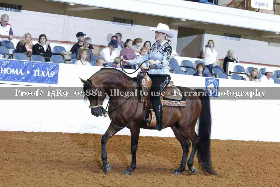Proof Number 15R9_03882