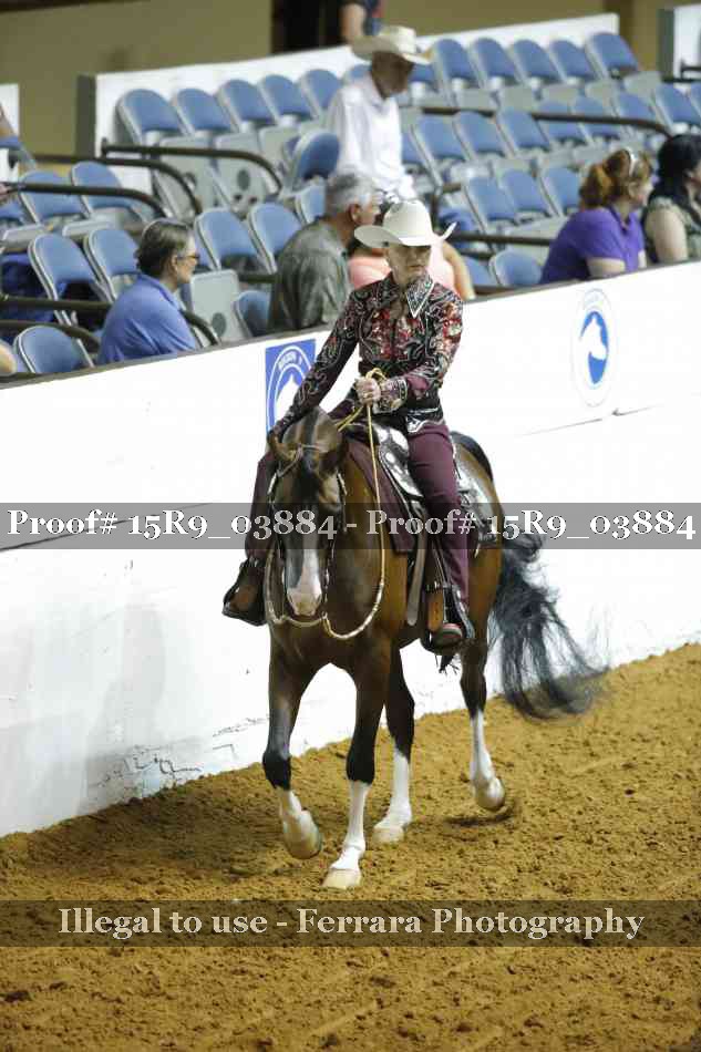 Proof Number 15R9_03884