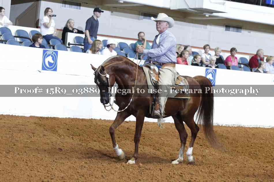 Proof Number 15R9_03889