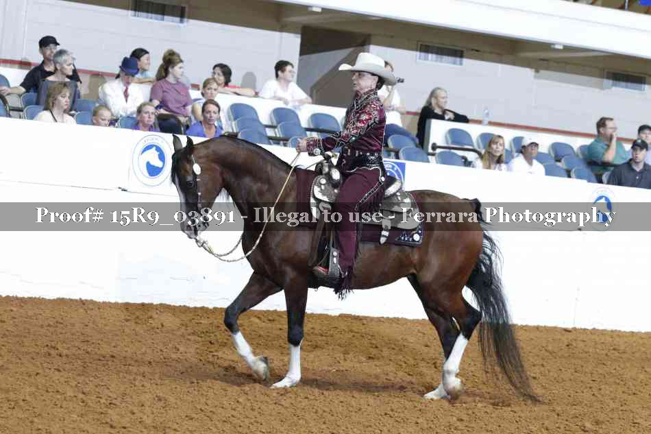 Proof Number 15R9_03891