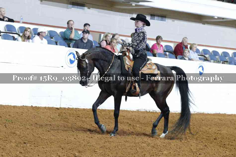 Proof Number 15R9_03892