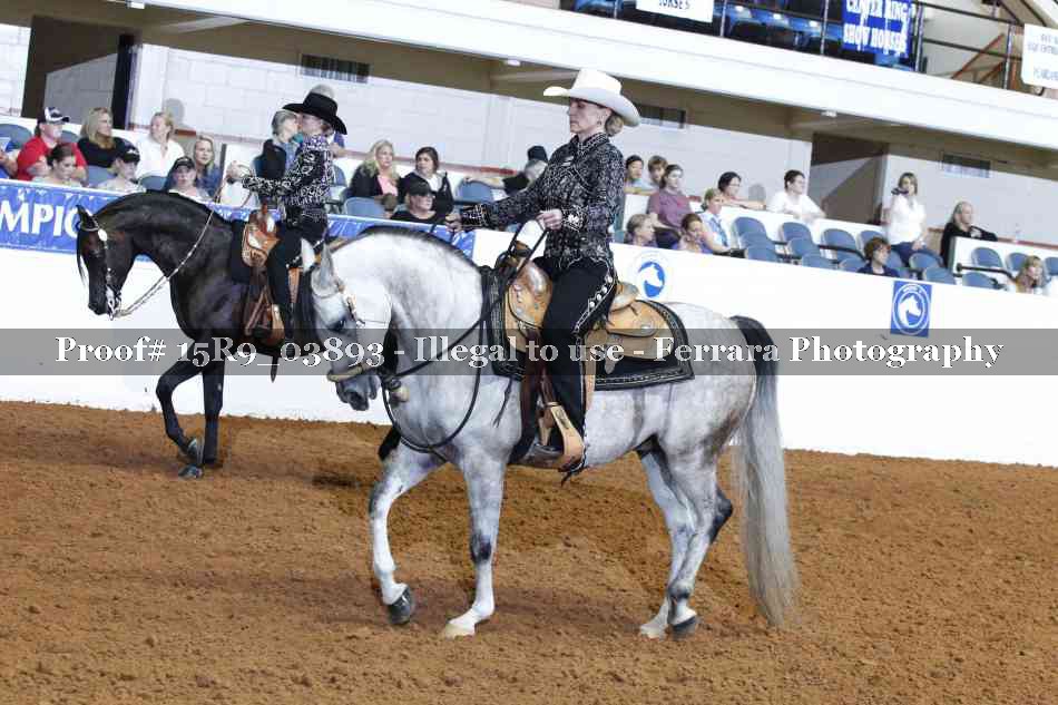 Proof Number 15R9_03893