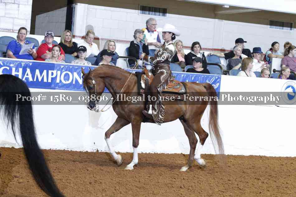 Proof Number 15R9_03896