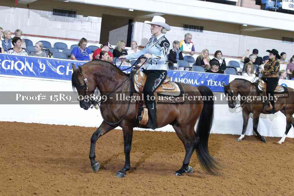 Proof Number 15R9_03899