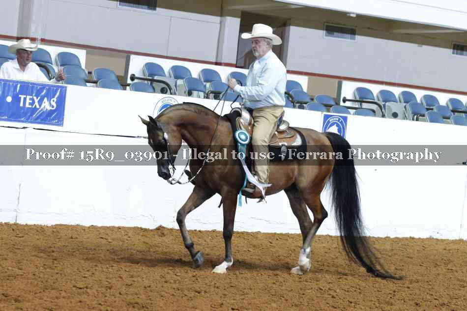 Proof Number 15R9_03901