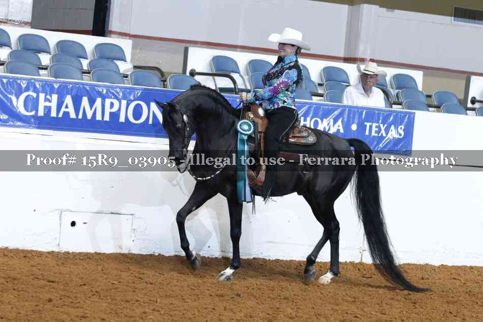 Proof Number 15R9_03905