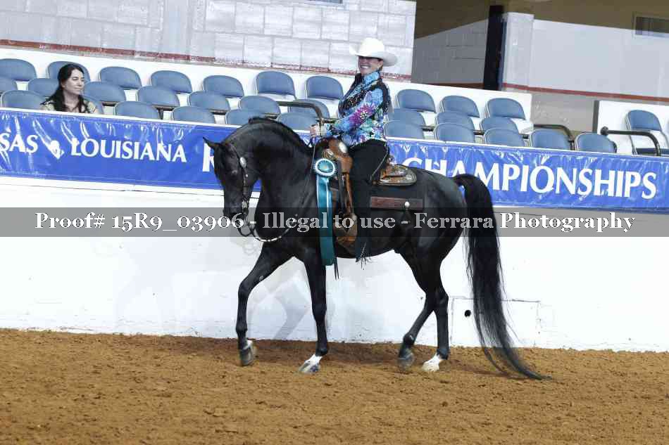 Proof Number 15R9_03906