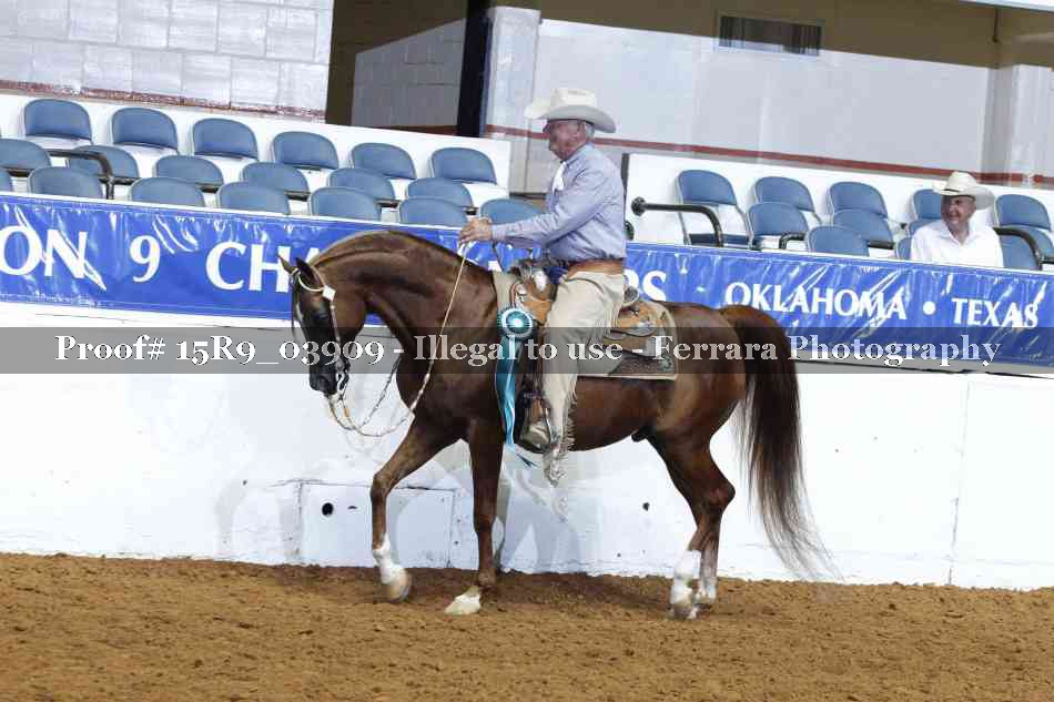 Proof Number 15R9_03909