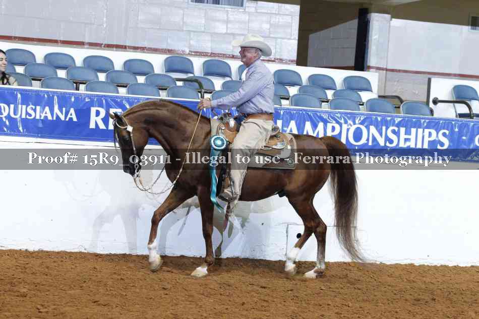 Proof Number 15R9_03911