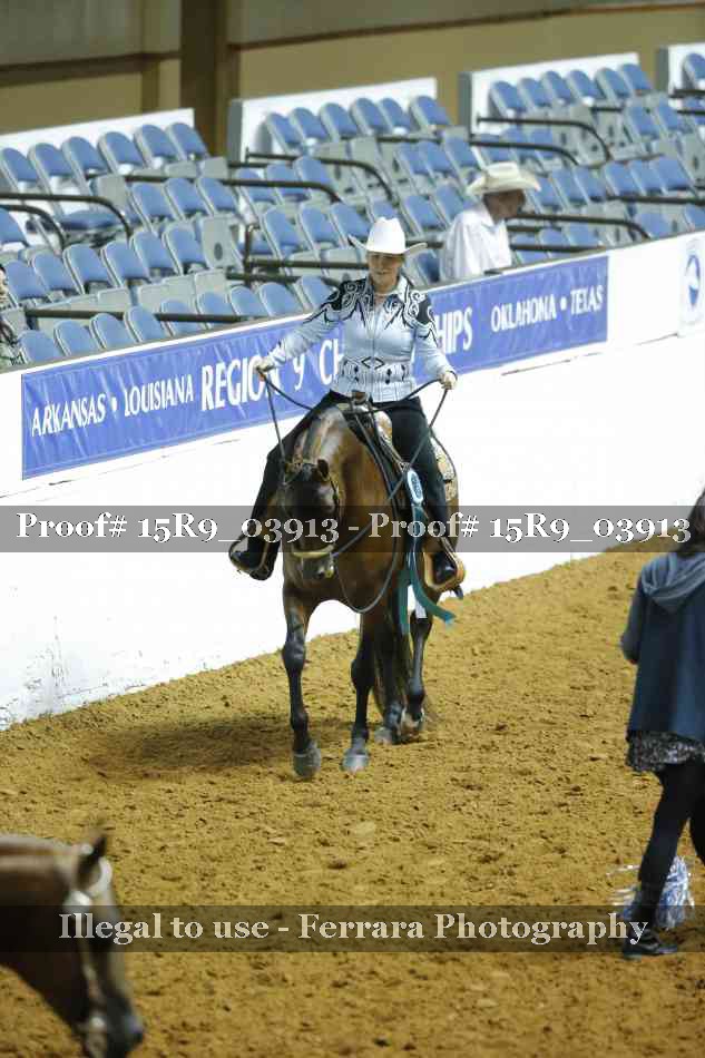 Proof Number 15R9_03913
