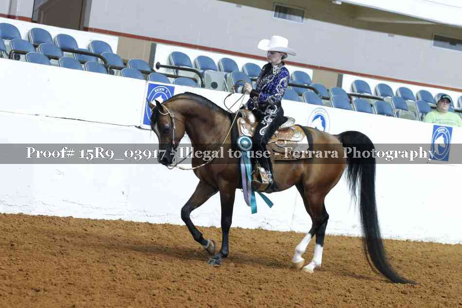 Proof Number 15R9_03917