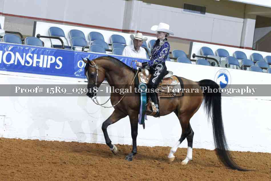 Proof Number 15R9_03918