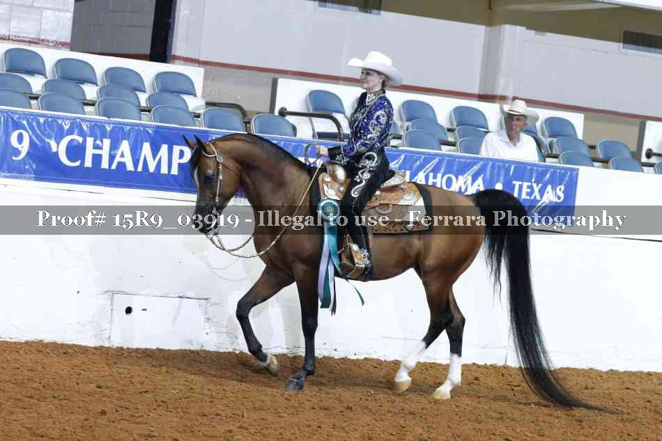 Proof Number 15R9_03919