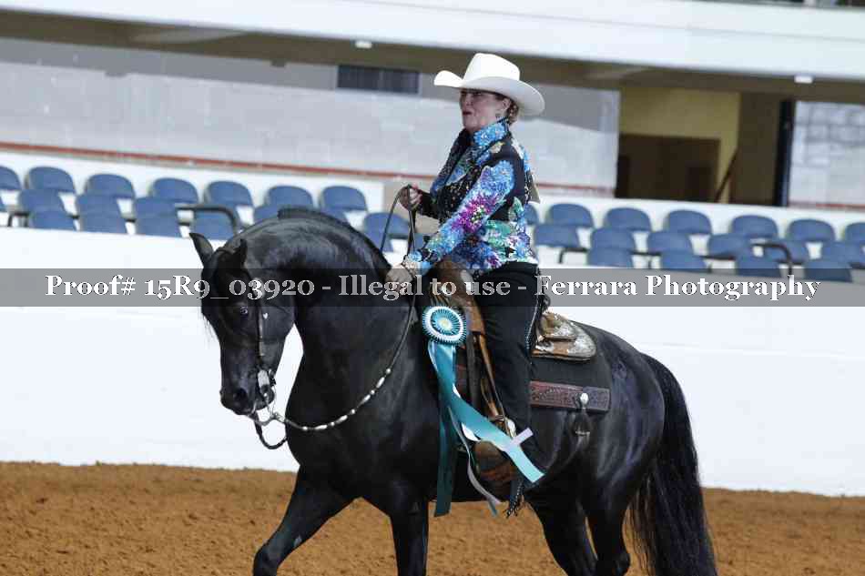 Proof Number 15R9_03920
