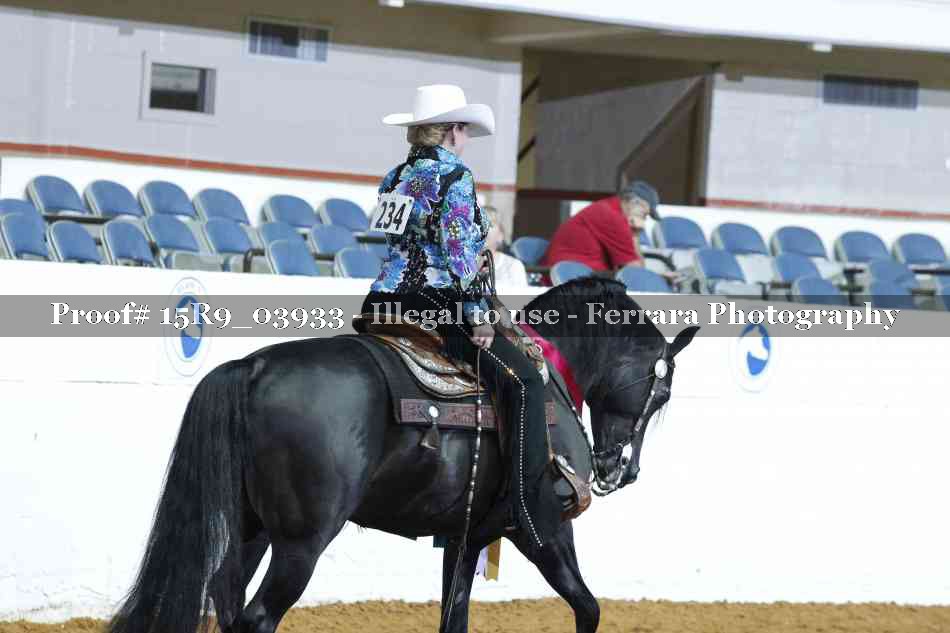 Proof Number 15R9_03933