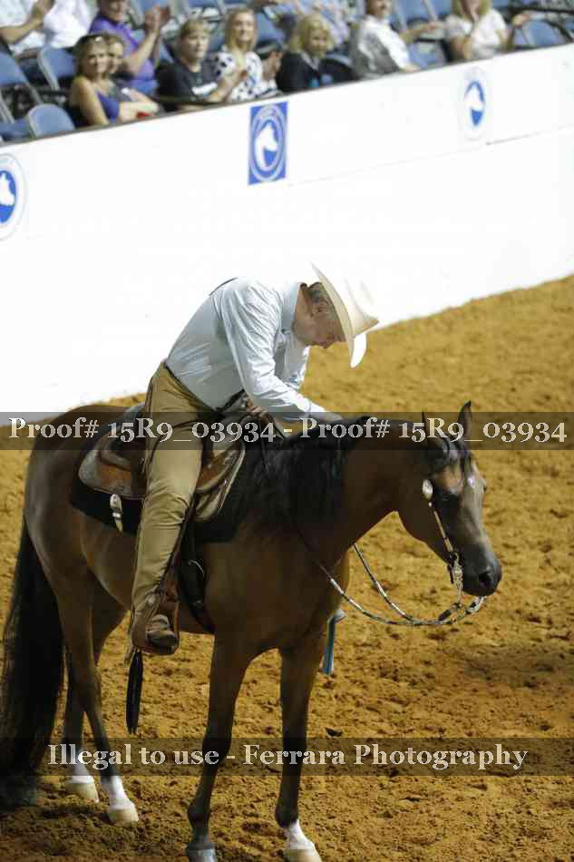 Proof Number 15R9_03934