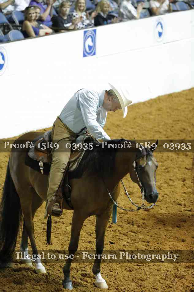 Proof Number 15R9_03935