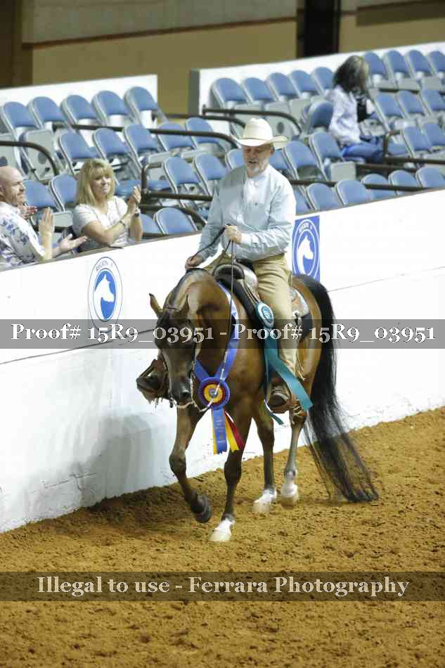 Proof Number 15R9_03951