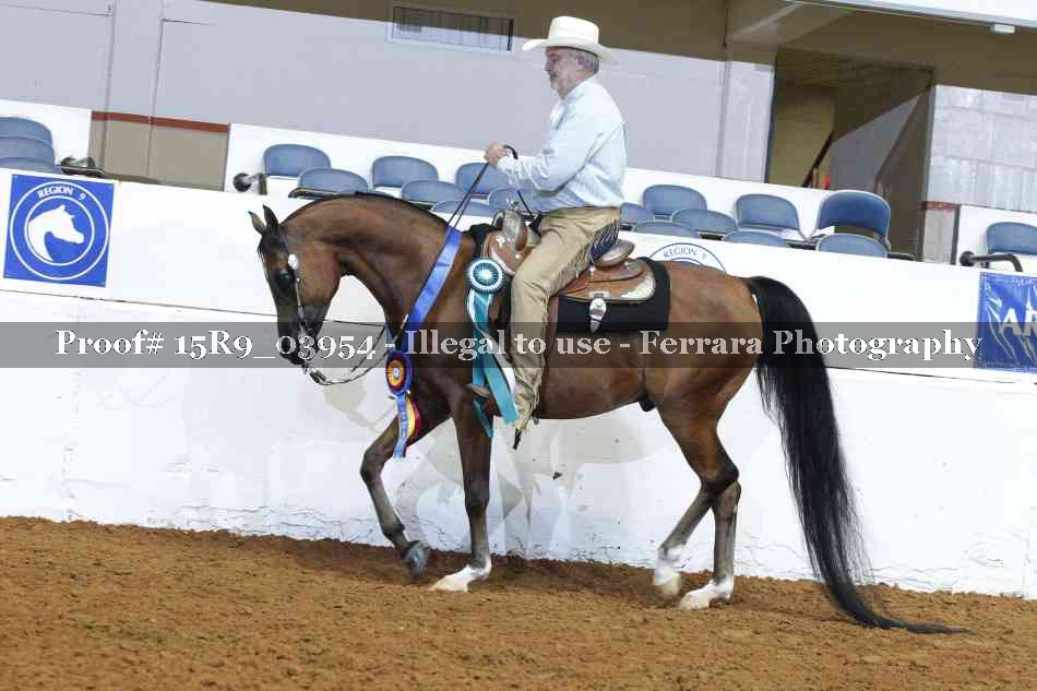Proof Number 15R9_03954