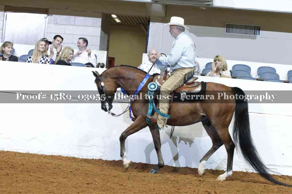 Proof Number 15R9_03955