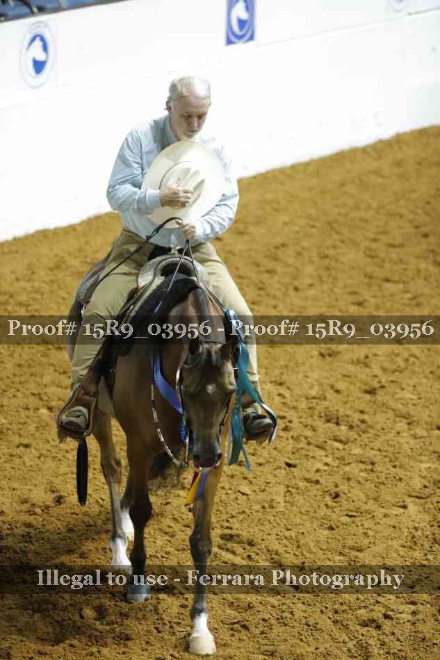 Proof Number 15R9_03956