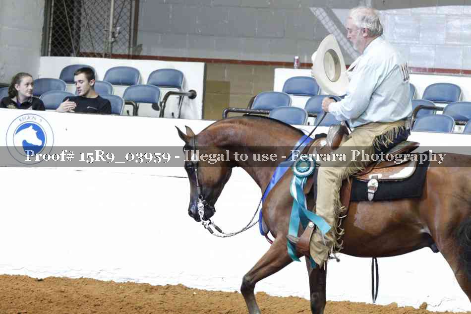 Proof Number 15R9_03959