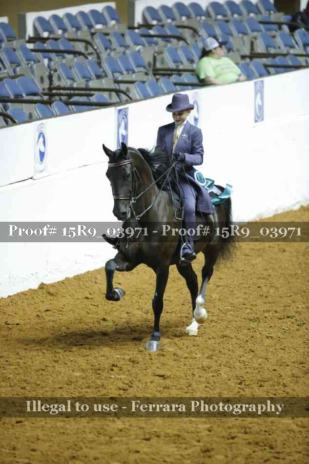 Proof Number 15R9_03971