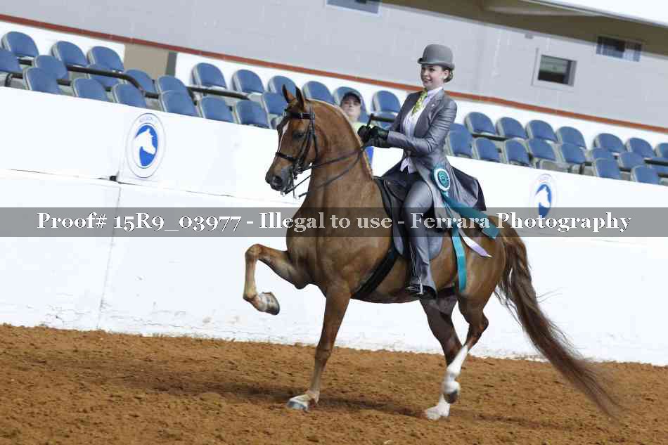 Proof Number 15R9_03977