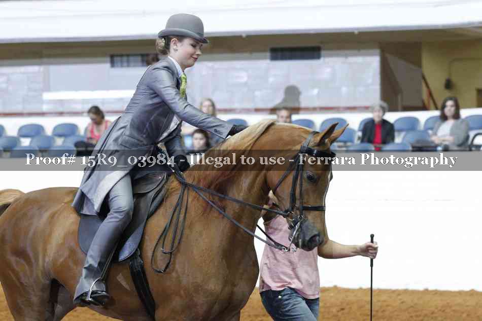 Proof Number 15R9_03984