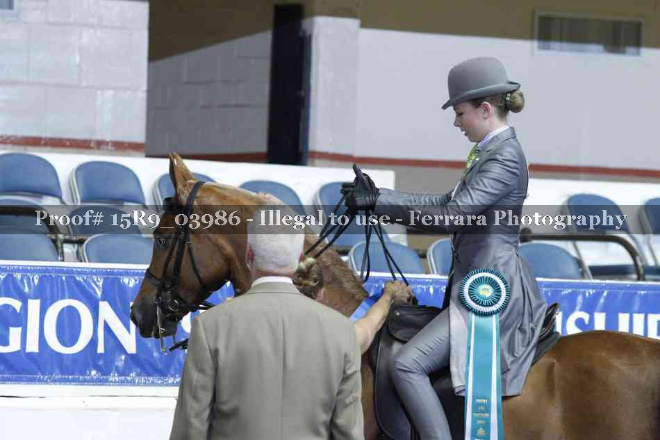 Proof Number 15R9_03986